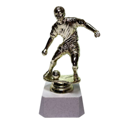 ФП Футбол 8202-1+WP763-2 13,3см