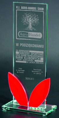  81511 Награда ст.170*80 (6)