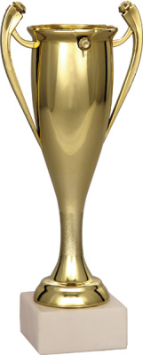 Кубок 7093B (29 см) D-75