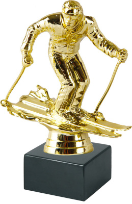 ФП Лыжи 8647-1+BMX5030