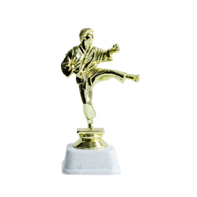 ФП Каратэ м. 14См F10/G+МР6220