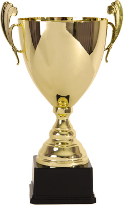 Кубок 3005E (30см) D-120