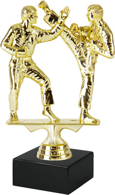 ФП Каратэ  8023-1+BMX6530  15,9см