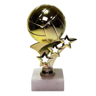 ФП Волейбол 239VB/G+WM5020 11см