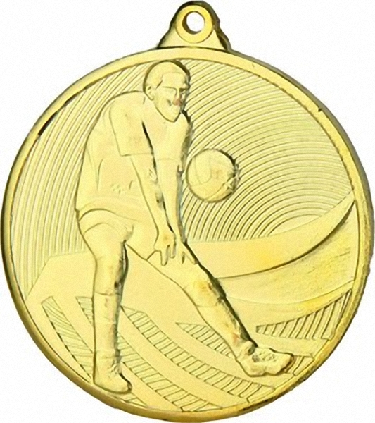 Медаль Волейбол MD14904/G (50) Медаль Волейбол MD14904/G (50)