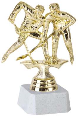 ФП Хоккей 8051-1+WP763-2