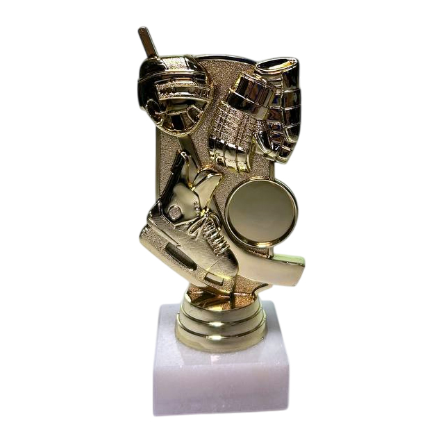 ФП Хоккей 8841-1+WM5020 12,1см ФП Хоккей 8841-1+WM5020 12,1см