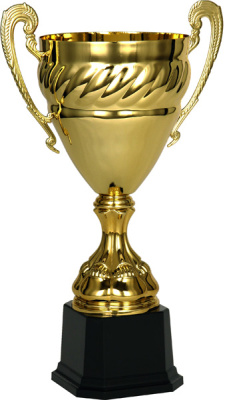 Кубок 3033E (27см) D-100