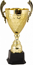 Кубок 2012C (48 см) D-180 Кубок 2012C (48 см) D-180