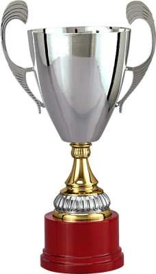 Кубок 3030-N/C (36см) D-140