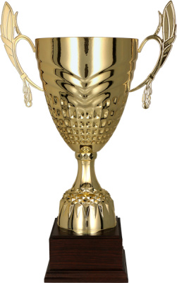 Кубок 3121D (37.5 см) D-140