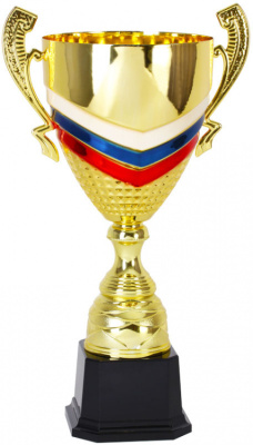 Кубок 1523C (49 см) D-200