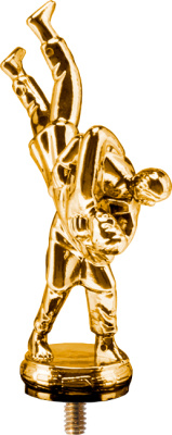 Фигурка пластиковая Дзюдо 14см F231/G