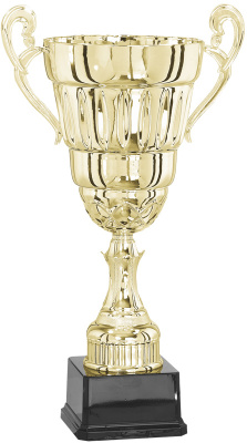 Кубок 3003D (35см) D-140