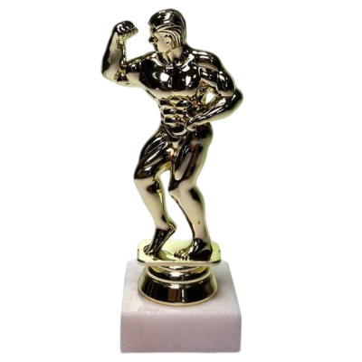 ФП Культуризм F43/G (B345/G)+WM5020 13см