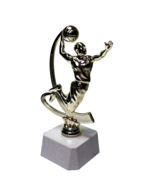 ФП Баскетбол F227/G+WP763-2  15 см