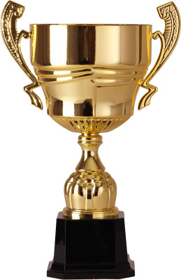 Кубок 2006E (40 см) D-180