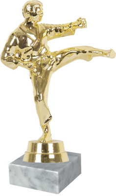 ФП Каратэ 12056/G+WM5020