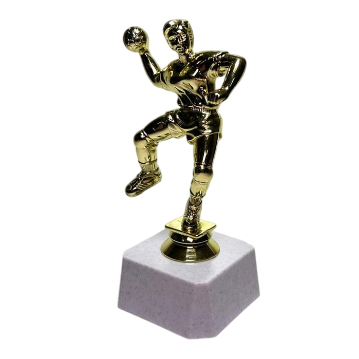 ФП Гандбол ж.  F100/G+WP763-2 14см